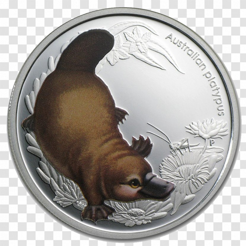Perth Mint Silver APMEX Commemorative Coin - Australia - Bush Baby Transparent PNG
