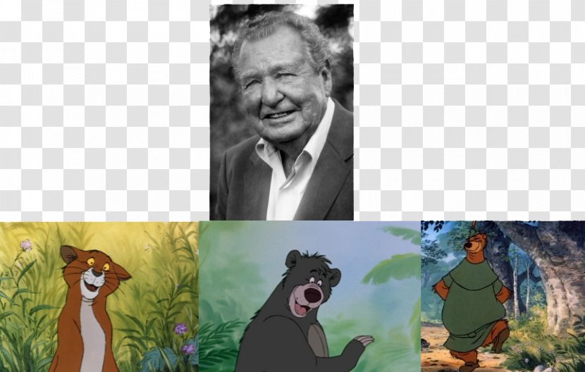Baloo Thomas O'Malley The Jungle Book Petit Jean Voice Actor - Collage Transparent PNG