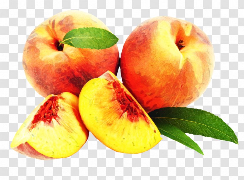 Apple Leaf - Glutenfree Diet - Superfruit Drupe Transparent PNG