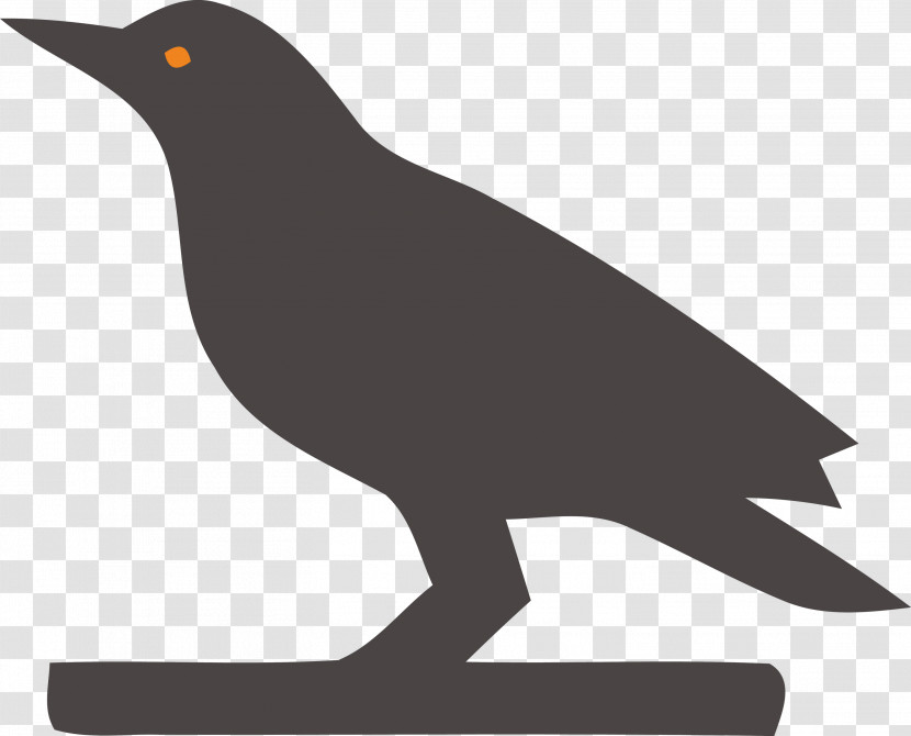 Birds Beak Black And White Silhouette Meter Transparent PNG