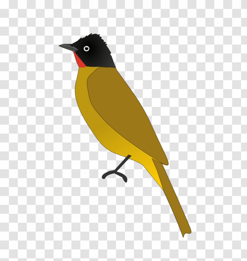 Eurasian Golden Oriole Bird Common Nightingale Red-whiskered Bulbul India Transparent PNG