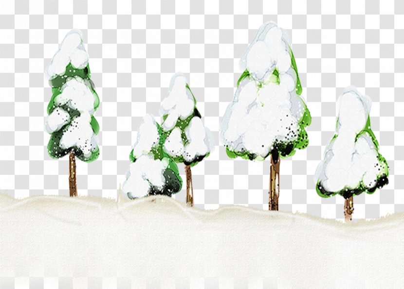 Snow Winter Pinaceae Illustration - Flower - Trees Transparent PNG