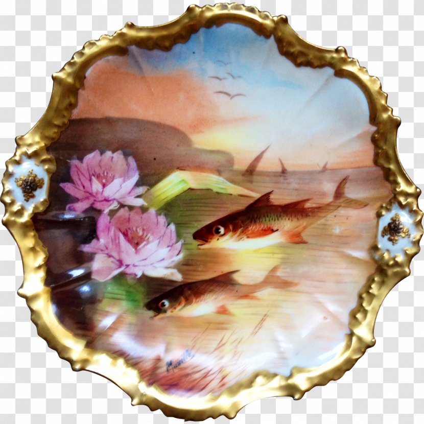 Picture Frames Flower - Conch Transparent PNG