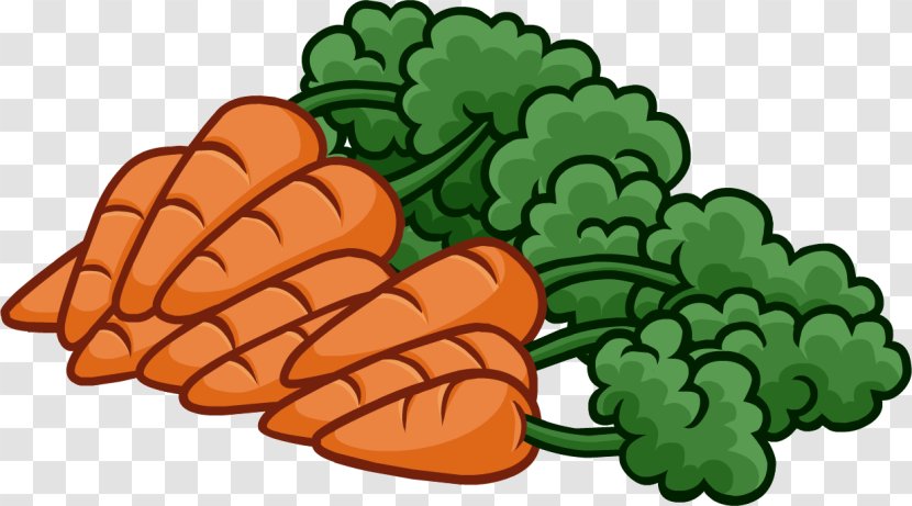 Carrot Download Clip Art - Document - Cartoon Transparent PNG