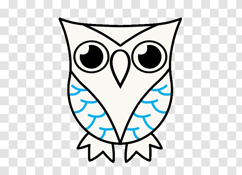Owl Drawing Cartoon Clip Art Transparent PNG