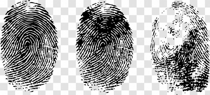 Fingerprint Thumb - Digit - Finger Print Transparent PNG