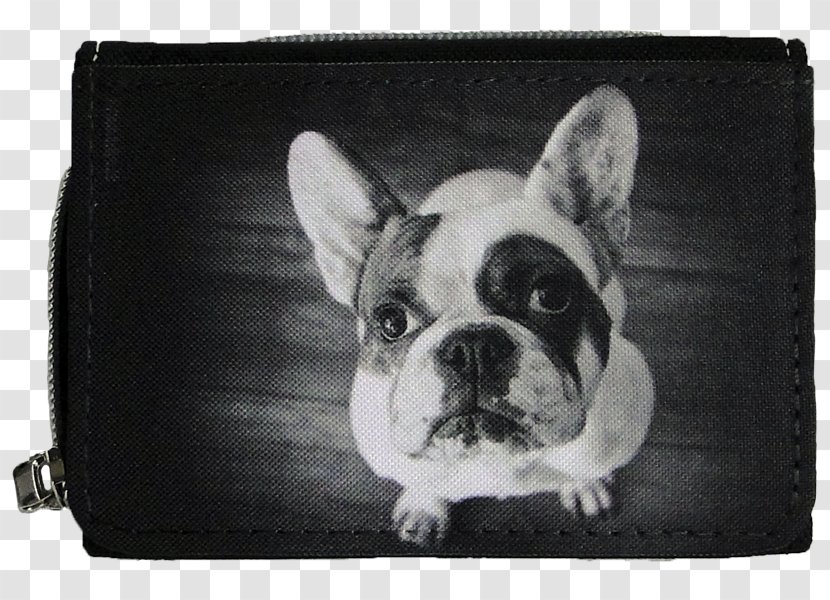 French Bulldog Boston Terrier Dog Breed Product - California Bulldogs Transparent PNG