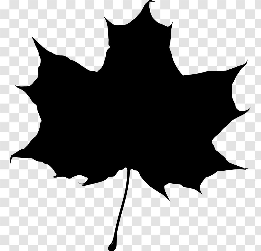 Maple Leaf Silhouette - Black And White Transparent PNG