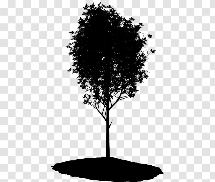 Black & White - Trunk - M Silhouette Leaf Transparent PNG