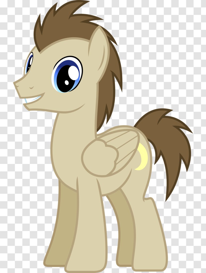 Pony Doctor Who Twilight Sparkle Derpy Hooves - My Little Friendship Is Magic Fandom Transparent PNG