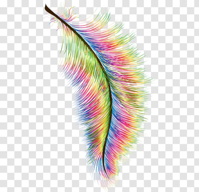 Feather Hair Photography Clip Art - Dye - Peacock Feathers Transparent PNG