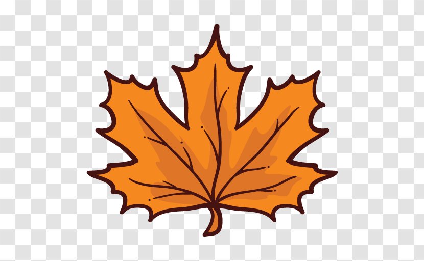 Maple Leaf - Photography - Plant Transparent PNG