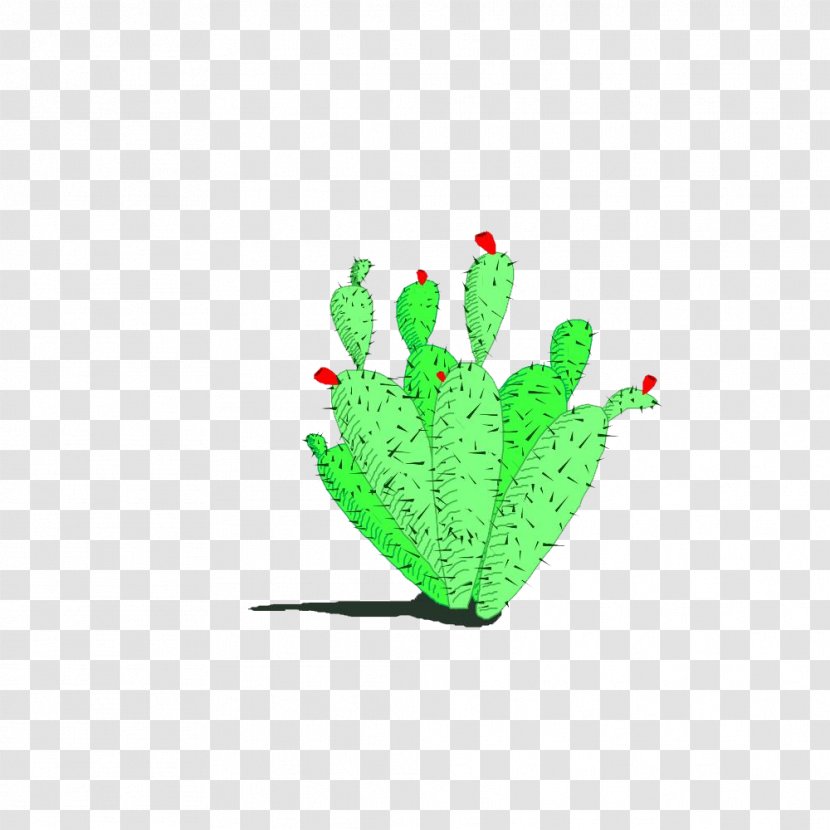 Cactus Logo Design Adobe Photoshop - Cute Transparent PNG