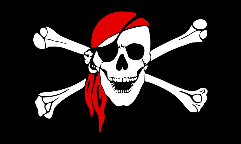 Flag Of The United States Jolly Roger - Logo - Pirates Transparent PNG