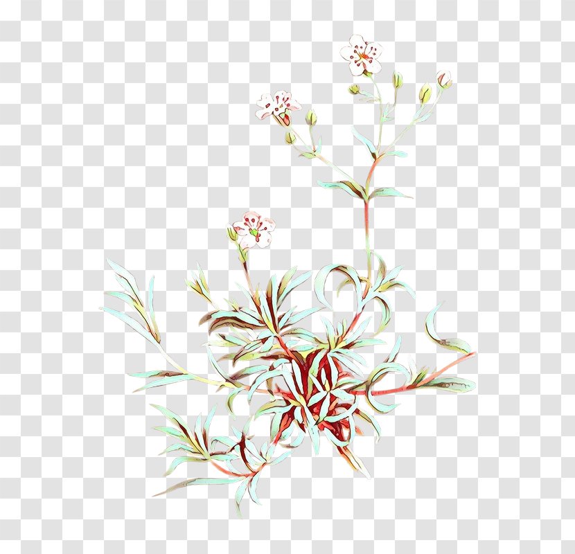 Flower Plant Branch Pedicel Grass - Wildflower Flowering Transparent PNG