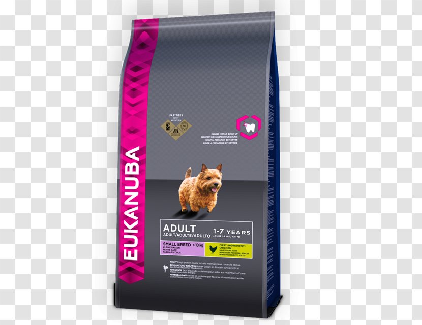 Puppy Golden Retriever Eukanuba Dog Breed Food - Animal Feed Transparent PNG