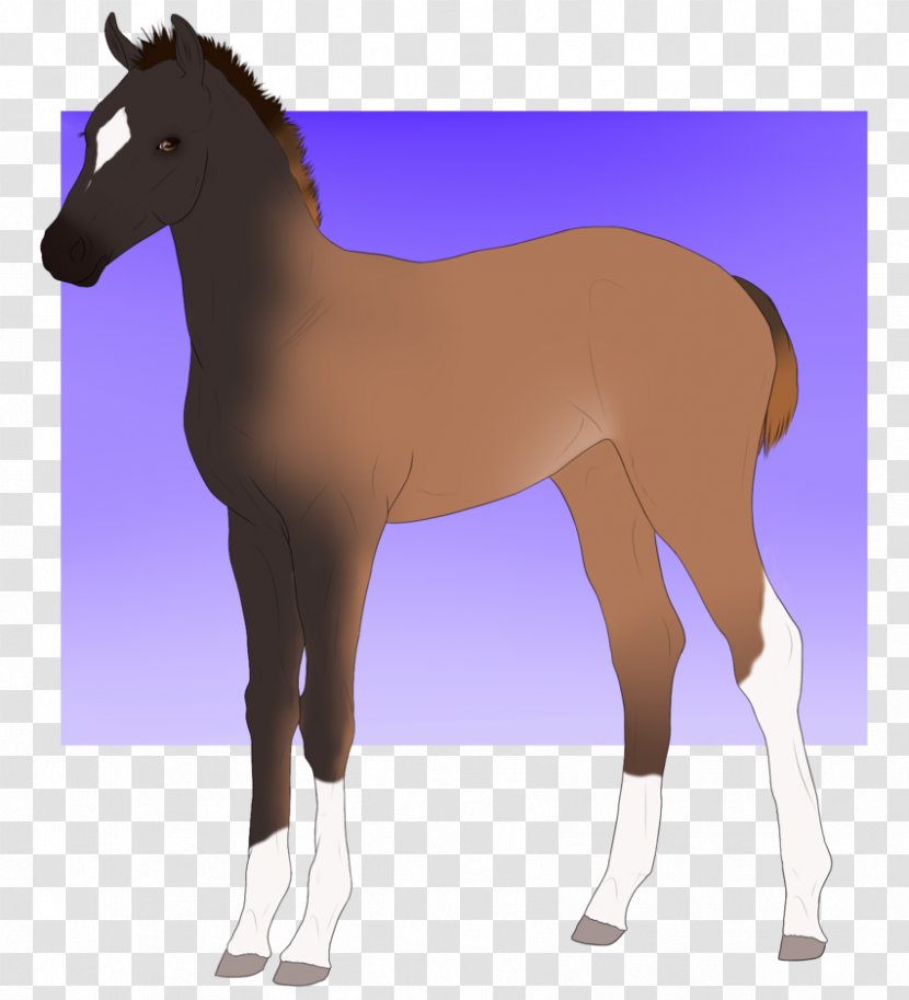 Mule Foal Mustang Stallion Colt - Mammal Transparent PNG