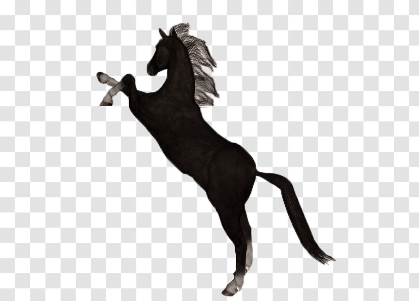 Mustang Foal Stallion Pony Akhal-Teke - Call Of Duty Black Ops Iii Transparent PNG