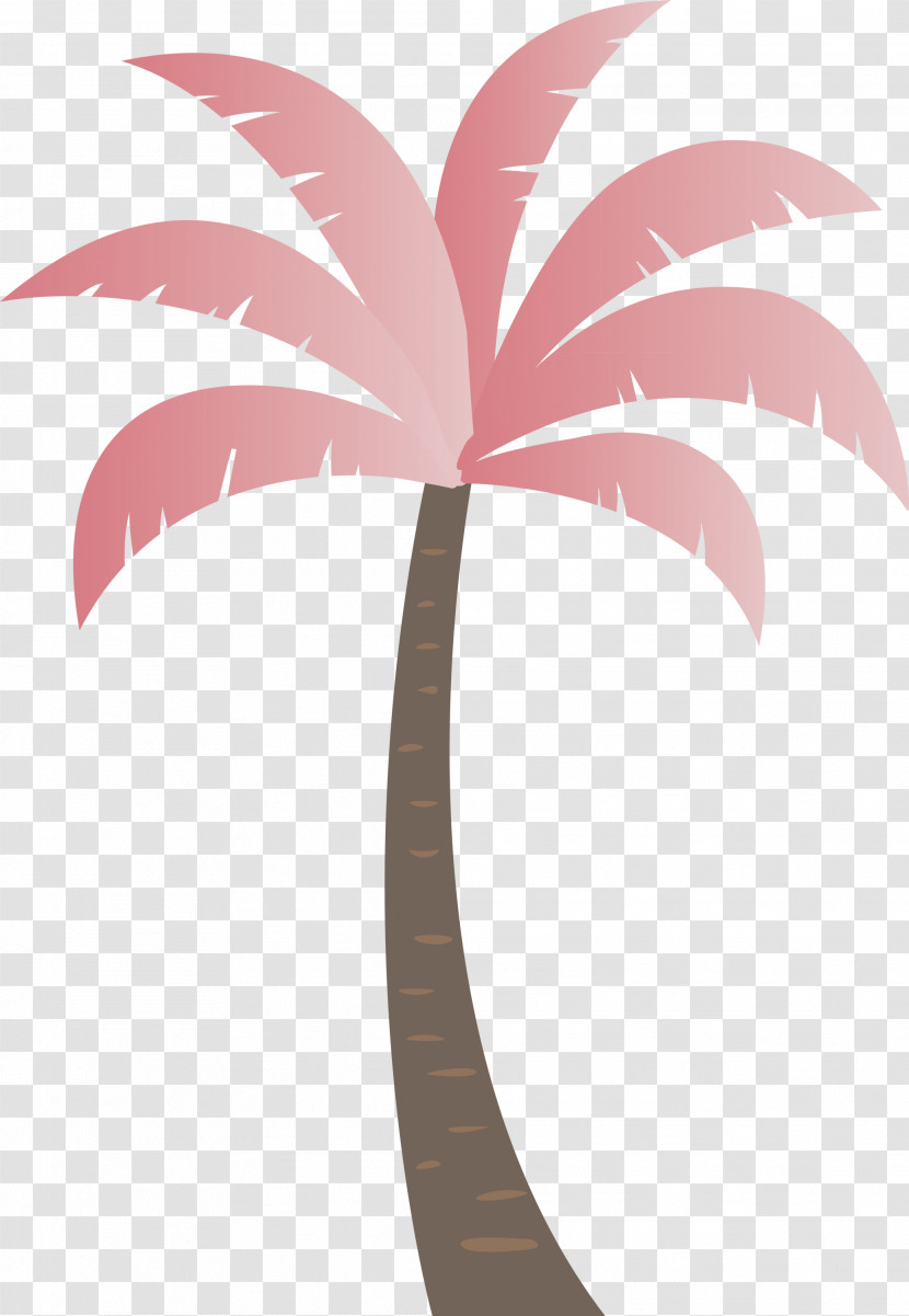 Palm Trees Transparent PNG