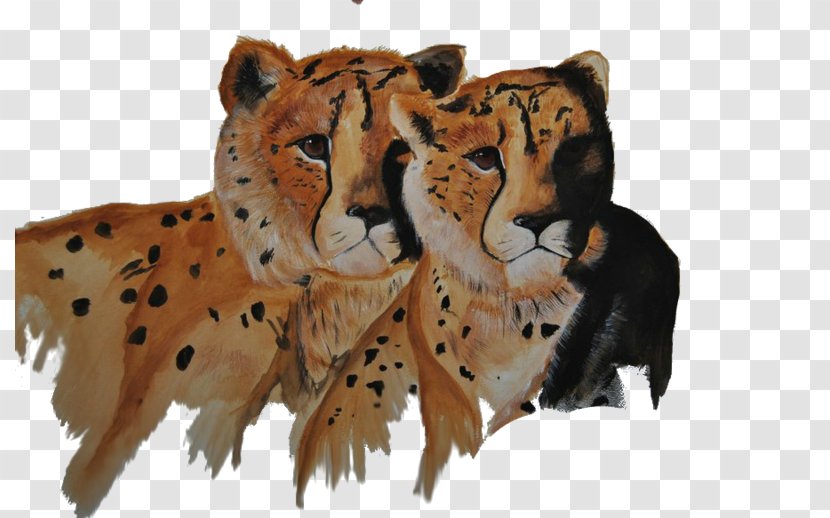 Cheetah Tiger Whiskers Cat Fur - Big Cats Transparent PNG