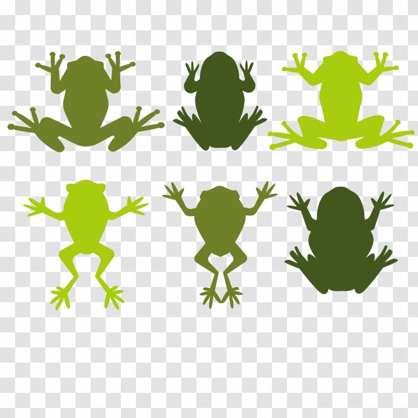 Tree Frog Illustration - Scalable Vector Graphics - Illustrator Transparent PNG