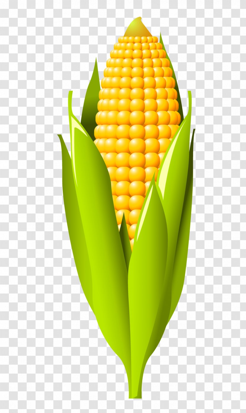 Corn On The Cob Maize Cereal Transparent PNG