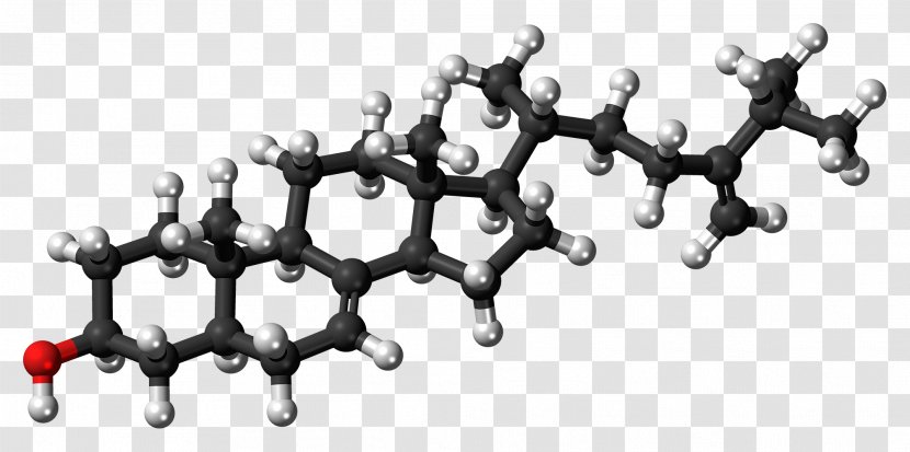 Progesterone Molecule Steroid Hormone Progestogen - Cell Membrane - Chemical Molecules Transparent PNG