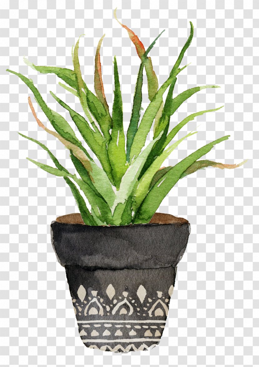 Watercolor Painting Cactaceae Printing Printmaking - Potted Aloe Transparent PNG