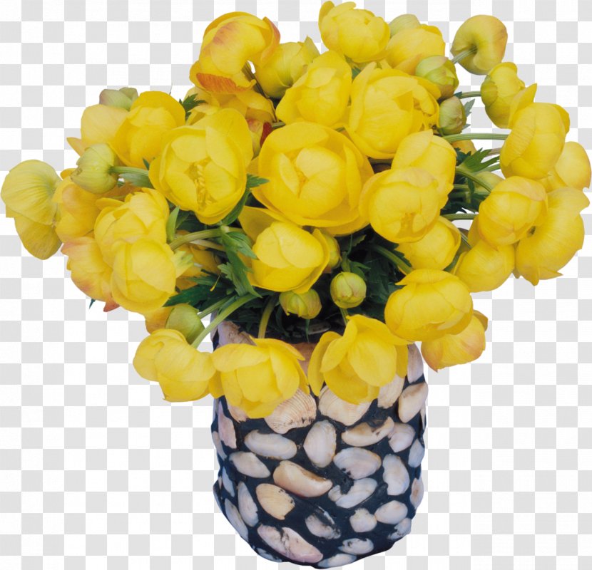 Daytime Birthday Holiday - Fruit - Vase Transparent PNG
