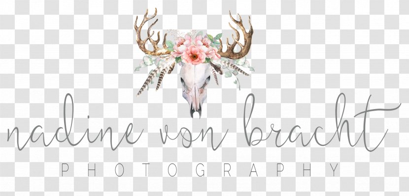 Nadine Von Bracht Photography Roisdorfer Straße Mammal Text - Frame - Brach Transparent PNG