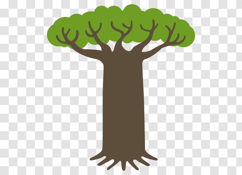 Baobab Illustration Clip Art Plants Tree - Plant - Branch Transparent PNG