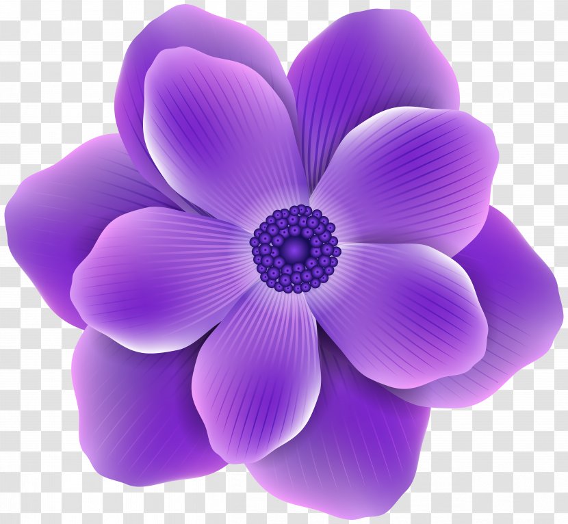 Purple Flower Clip Art - Anemone - Image Transparent PNG