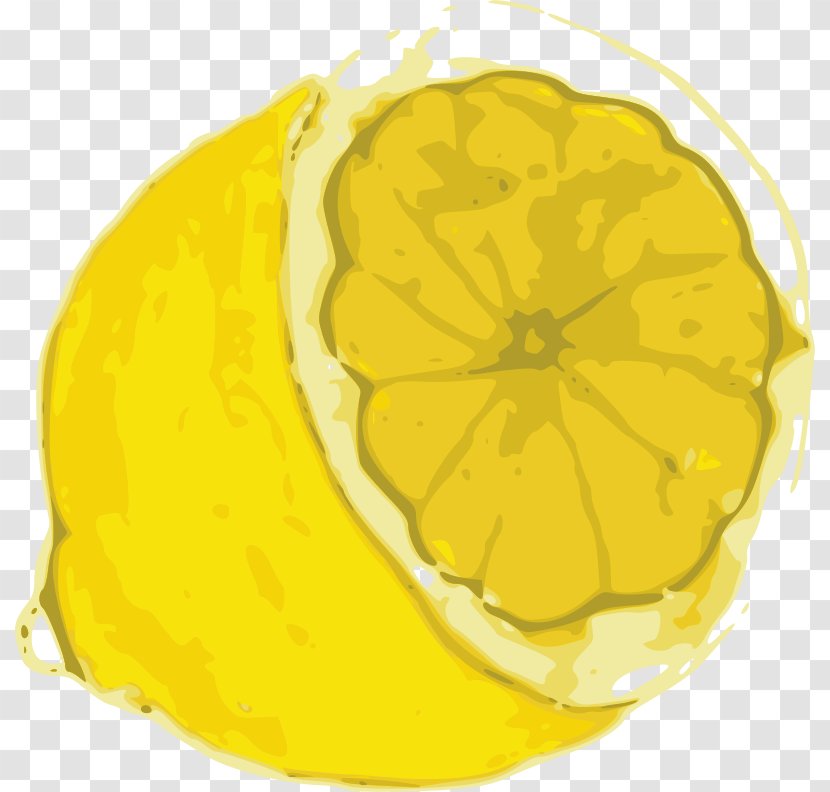 Line Art Clip - Squash - Lemon Transparent PNG
