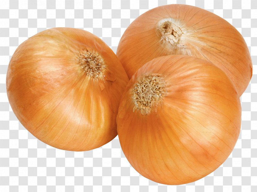 Calabaza White Onion Clip Art - Shallot - Onions Transparent PNG