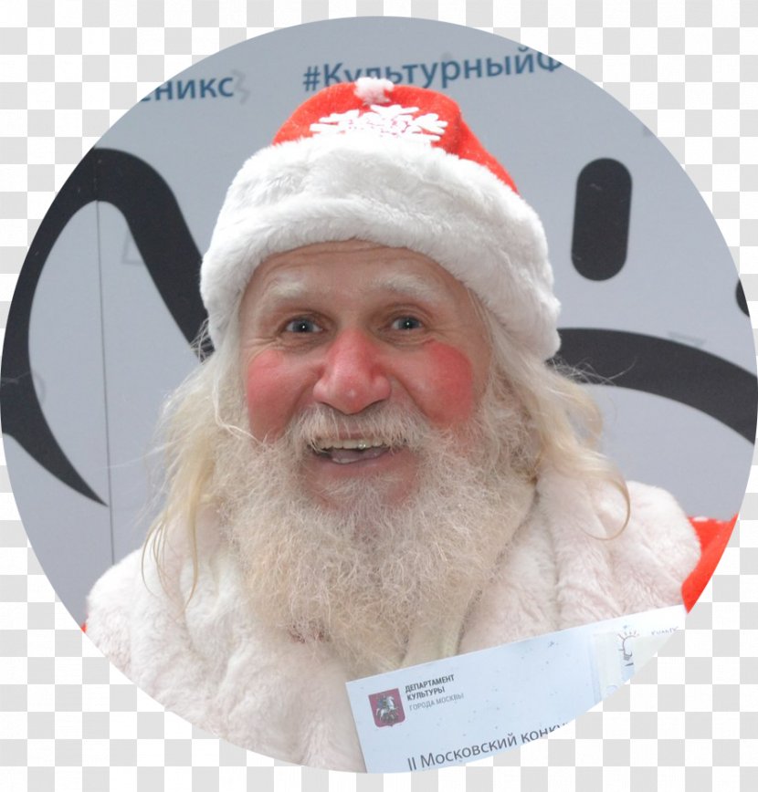 Santa Claus Christmas Ornament Beard Transparent PNG