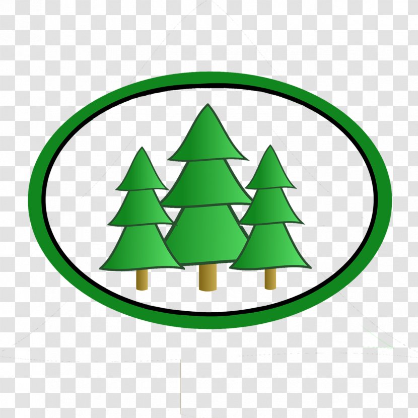 Christmas Tree Conifers Fir Pine - Cedar Transparent PNG