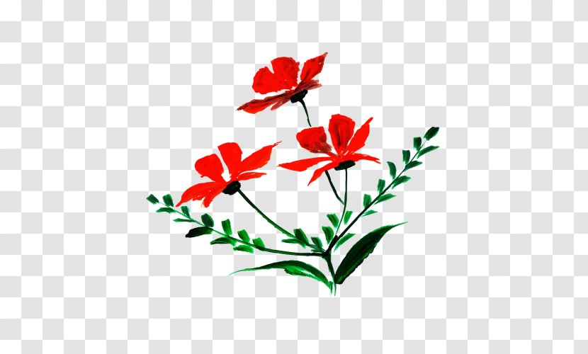Flower Flowering Plant Red Petal - Coquelicot Pedicel Transparent PNG