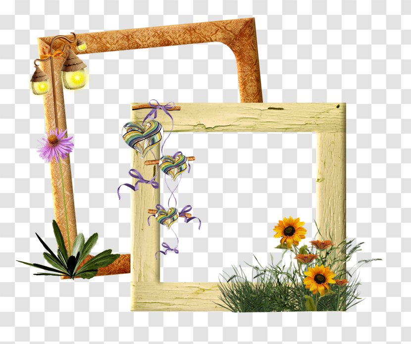 Flower Picture Frames Floral Design Promenade Du Peyrou Meteorology - Jungle Frame Transparent PNG