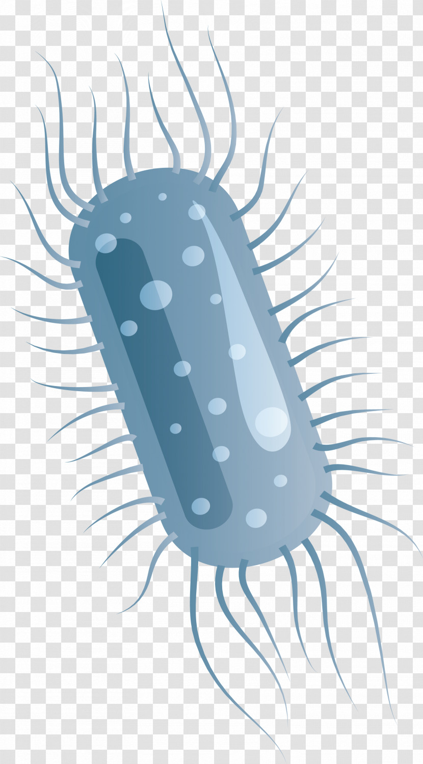 Coronavirus Corona COVID Transparent PNG