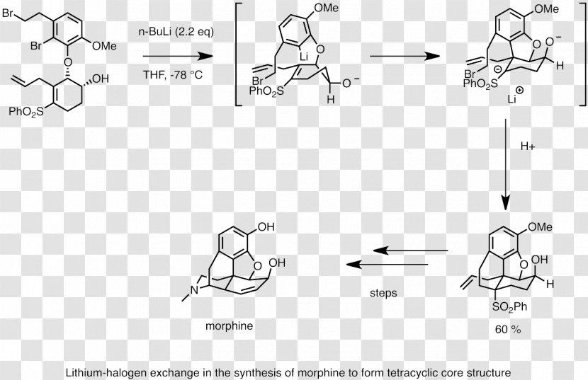 Organolithium Reagent Total Synthesis Of Morphine And Related Alkaloids Chemical Wikipedia Reactivity - Carbanion Transparent PNG