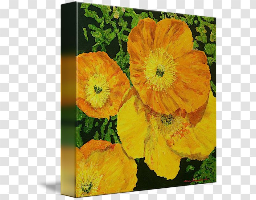 Artwall Allan Friedlander 'blazing Glory' Gallery-Wrapped Canvas Gallery Wrap Blazing Glory By P. Hi End Print - With Color Transparent PNG