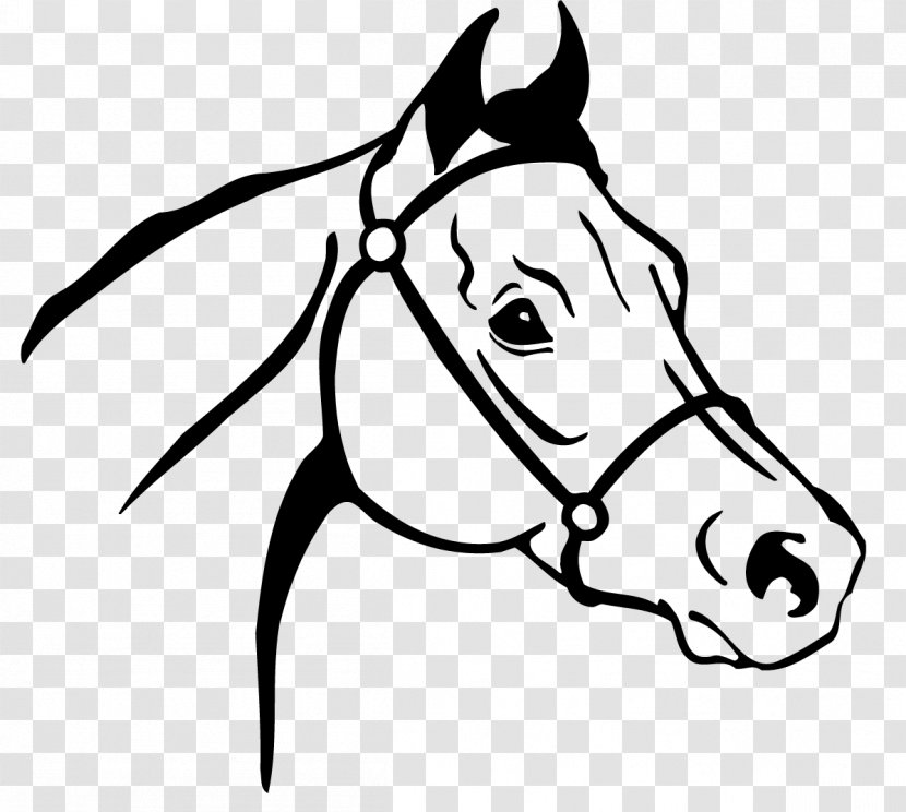 Arabian Horse Thoroughbred Drawing Clip Art - Joint - Horsehead Transparent PNG