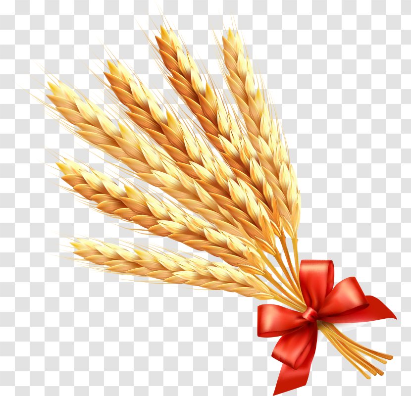 Wheat Ear Cereal Clip Art - Commodity Transparent PNG