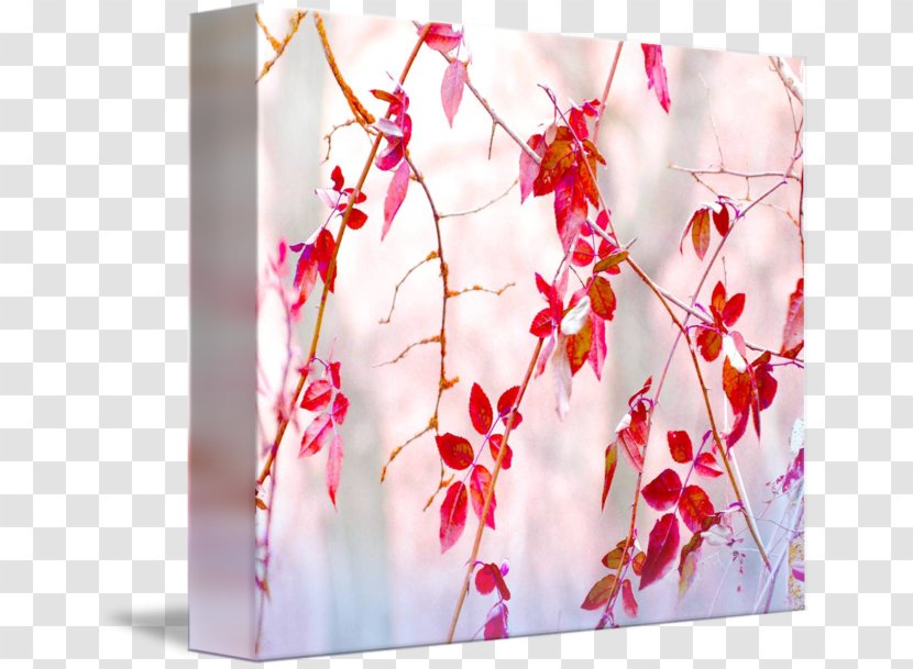 Flower Floral Design Floristry Petal Blossom - Arranging - Autumn Beauty Transparent PNG