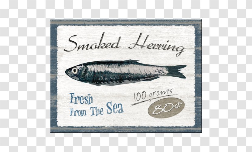 Sardine Fish Herring Smoking Craft Magnets - European Pilchard - Smoked Transparent PNG