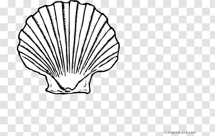 Clip Art Seashell Illustration Vector Graphics Oyster - Pectinidae Transparent PNG