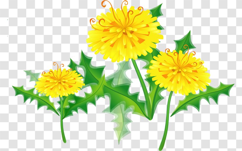 Clip Art - Flower - ОДУВАНЧИК Transparent PNG