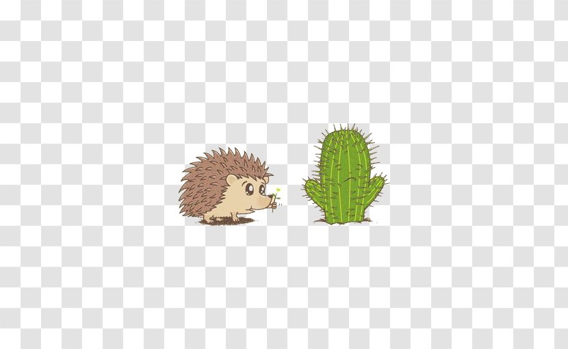 Hedgehog Illustration - Erinaceidae - Cartoon Transparent PNG