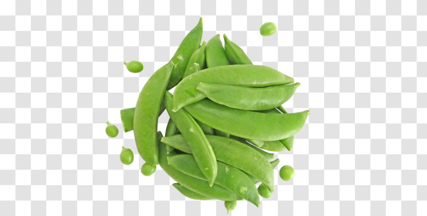 Snap Pea Edamame Snow Bean Sugar Transparent PNG