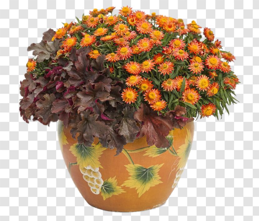 Flowerpot Floral Design Cut Flowers Plant Strawflower - Annual Transparent PNG